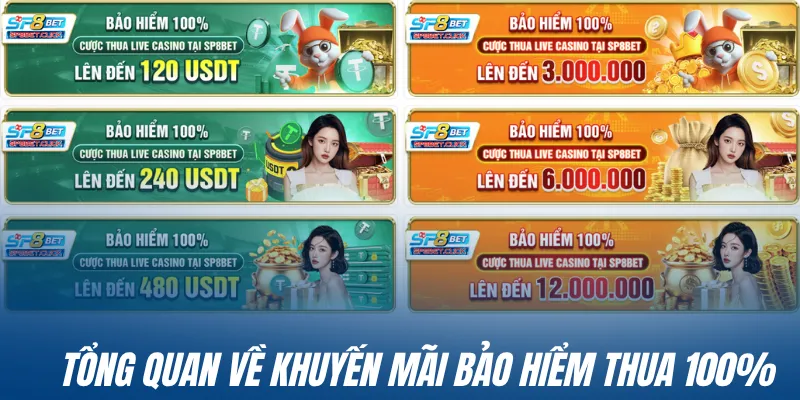 Tổng quan về khuyến mãi bảo hiểm thua 100%